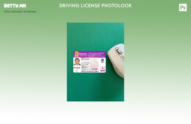 модерен стил Мексико Nuevo Leon возачка дозвола photolook ПРЕДЕН шаблон